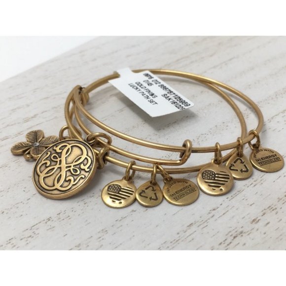 New 2 ALEX & ANI Gift Lucky Path Charm Gold Tone Bangle Bracelet - Picture 5 of 5
